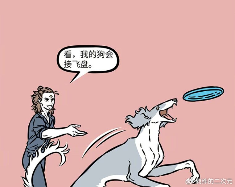 非人哉:观音闯狗狗乐园,与杨戬相互比狗,哮天全能,饕餮只会吃