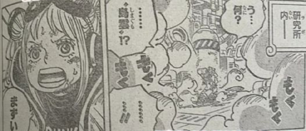 海贼王1125话:路奇杀斯图西,约克投靠加林圣,释迦求助哈雷达斯
