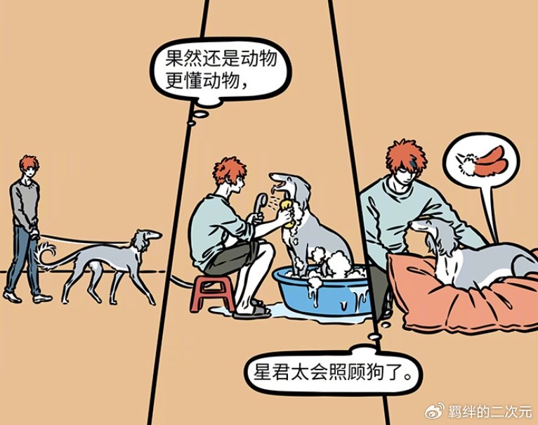 非人哉哮天给别人当宠物,回家却发现杨戬负债累累,全是自己的错