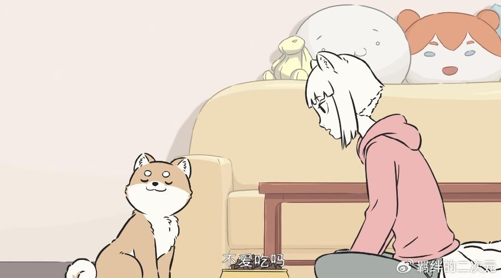 非人哉:九月帮白泽收养柴犬,结果却发现是十一月,当场赶出家门