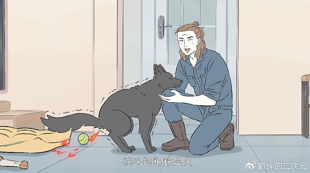 非人哉杨戬带回新犬,霸占哮天巢穴,哮天仅用一招,就收它为小弟