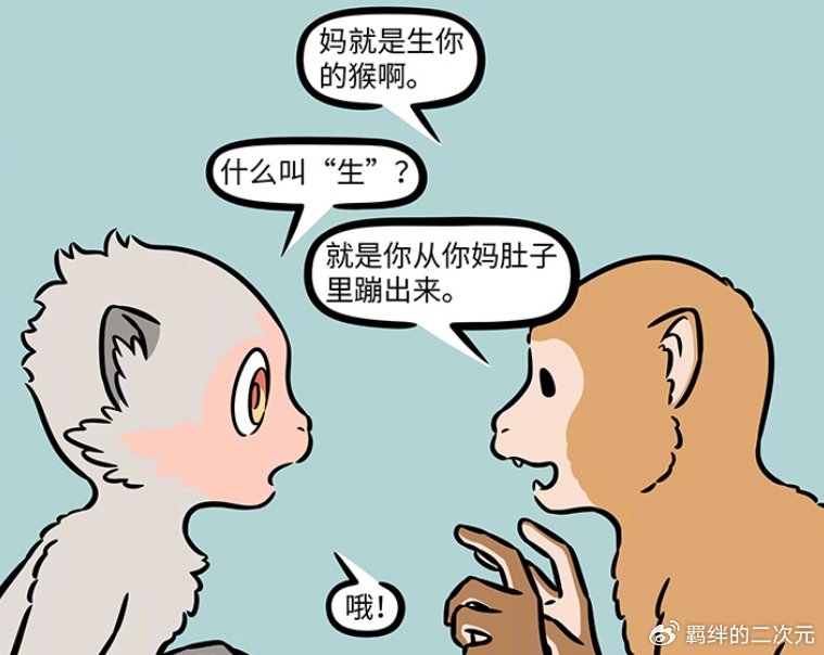 非人哉:猴哥融入花果山猴群,介绍自己的妈妈,却让猴群懵圈了